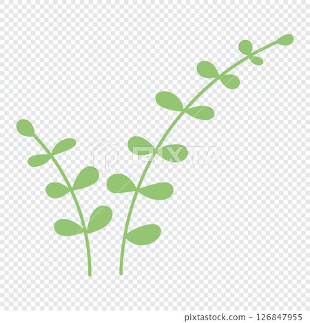 Summer hand drawn flower. Wildflower and leaves. Floral element. Garden plant element. Vector flat illustration 126847955