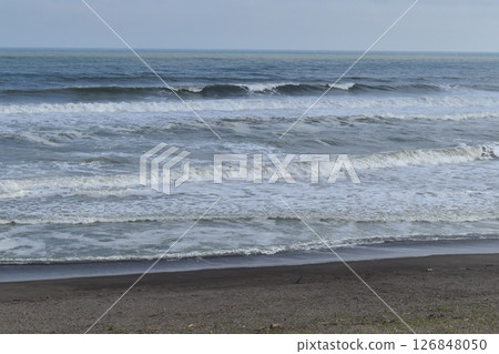 春戀海岸 126848050