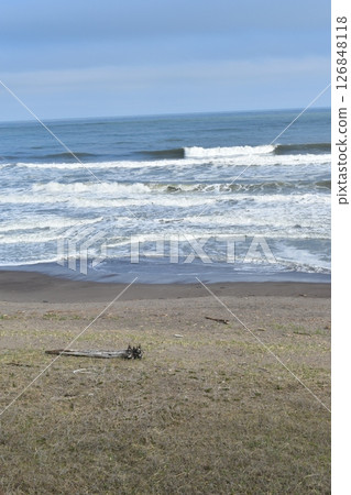 Spring Love Coast 126848118
