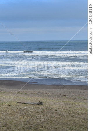 Spring Love Coast 126848119