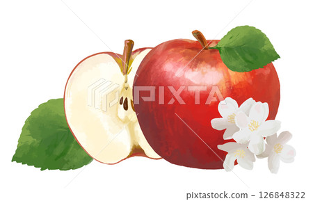 逼真的水彩風格蘋果設計 126848322