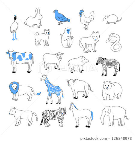Animal illustration set Animal illustration set 126848978