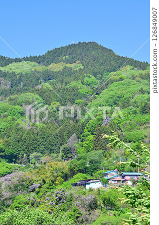 Houses built on steep slopes in the countryside surrounded by fresh greenery, the village of Hanamomo in Higashichichibu Village 126849007