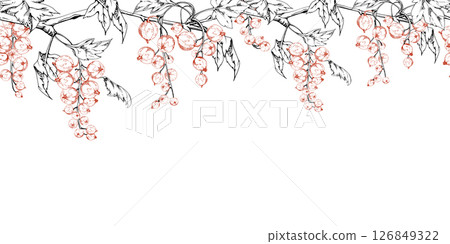 Currant gooseberry clusters with leaves on branch, hand drawn in vector ink, ripe berry juneberry casseille jostaberry. Isolated seamless banner border for dessert menu, eco farmers market, gardening 126849322