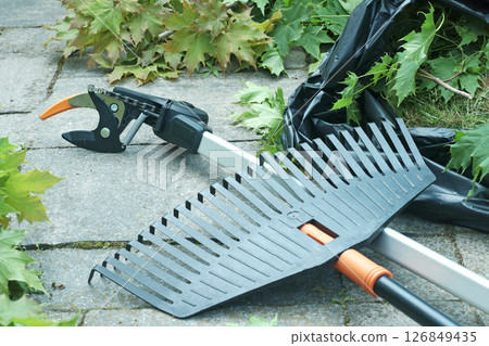 Branch cutter and garden rake on tile driveway in backyard. Gardening, tools and lifestyle. Landscaping. 126849435
