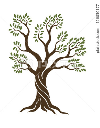 Olive trees with branches and leaves for design of packaging, label, logotype or banner. Natural organic stylized olive icon, premium quality sign. Vector illustration Olive trees with branches and leaves for design of packaging, label, logotype or banner. Natural organic stylized olive icon, premium quality sign. Vector illustration 126850177