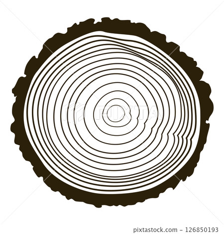 Wooden logs texture. Wood concepts graphics, lumber circle top view. Vintage outline tree ring stump, cut trees structure racy vector Wooden logs texture. Wood concepts graphics, lumber circle top view. Vintage outline tree ring stump, cut trees structure racy vector 126850193