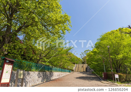 神戶市兵庫區下山公園春季大會 神戶市兵庫區下山公園春季大會 126850204