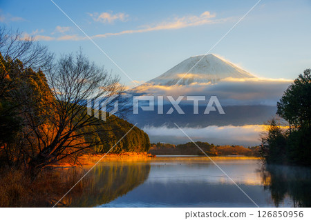 Mount Fuji Reflected at Lake Tanuki, Fujinomiya, Japan 126850956