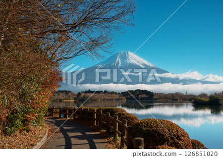 Mount Fuji and Lake Tanuki under a Clear Blue Sky, Fujinomiya, Japan Mount Fuji and Lake Tanuki under a Clear Blue Sky, Fujinomiya, Japan 126851020