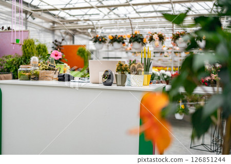 A bright interior of a florist shop features a counter with potted plants, cacti, and a laptop ready for business. 126851244