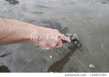 Digging the sand with a rake to find clams Digging the sand with a rake to find clams 126851304