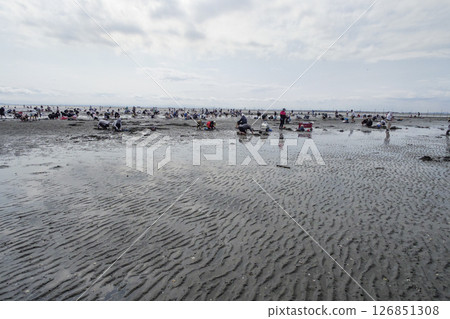 與家人一起在東京灣的潮灘上享受挖蛤蜊的樂趣 126851308