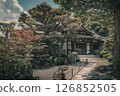 View of a beautiful traditional Japanese garden 126852505