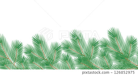 Hand Drawn Pine Twigs Bottom Frame border Transparent Background Copy space Template Winter Holiday 126852975