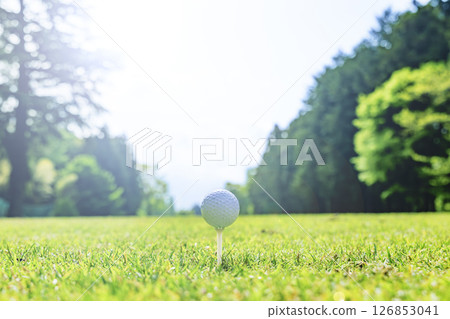 Golf course with beautiful fresh green grass 126853041