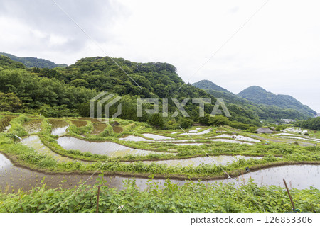 石部梯田的雨季 石部梯田的雨季 126853306