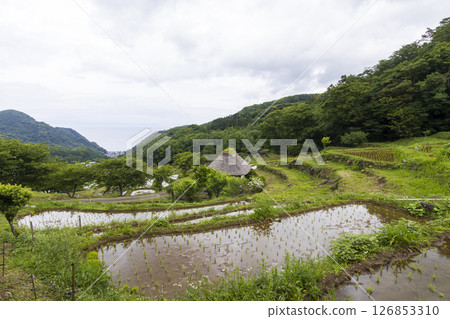 石部梯田的雨季 石部梯田的雨季 126853310