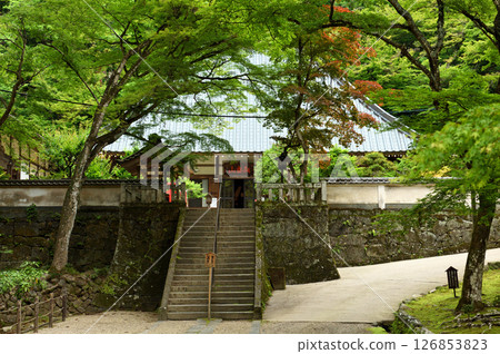 Fresh greenery at Korankei Kosekiji Temple Fresh greenery at Korankei Kosekiji Temple 126853823