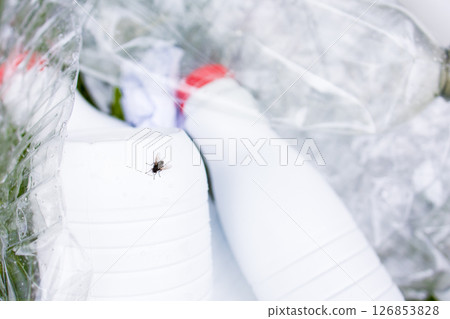 Close up of housefly on plastic bottles and crumpled cellophane 126853828