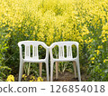 A pair of chairs lined up in a rapeseed field 126854018