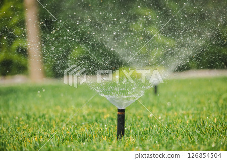 Sprinkler head spraying water over green lawn in a garden during automatic irrigation, with water droplets visible in sunlight Sprinkler head spraying water over green lawn in a garden during automatic irrigation, with water droplets visible in sunlight 126854504