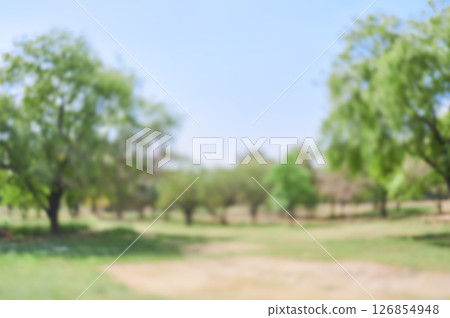 Abstract park background material out of focus 126854948