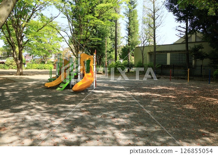 鬱鬱蔥蔥的公園裡的遊樂場設備 126855054