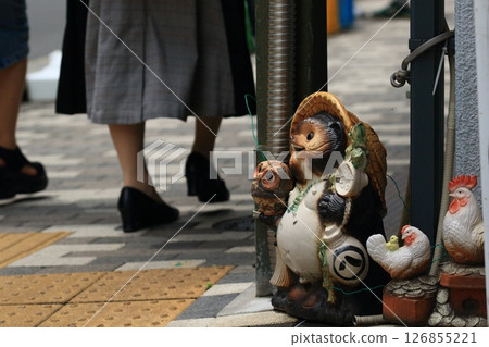 一隻在巷口仰望街道的信樂燒貉 信樂燒貉雕像 126855221