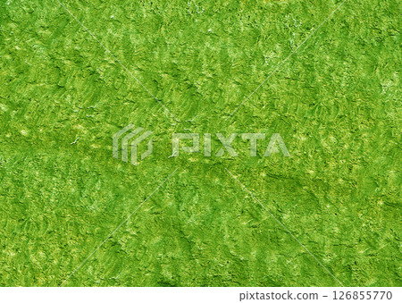 Green textured stone surface forming an abstract background 126855770