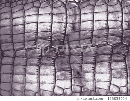 Crocodile leather texture in elegant purple tones, showcasing its luxurious and exotic nature 126855924