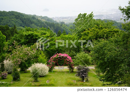 Aiyama Garden, Rose Garden, Himi City, Toyama Prefecture 126856474