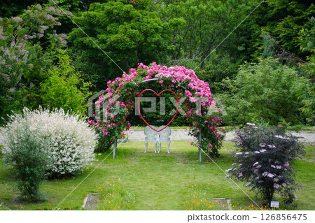 富山縣冰見市玫瑰園愛山花園 126856475