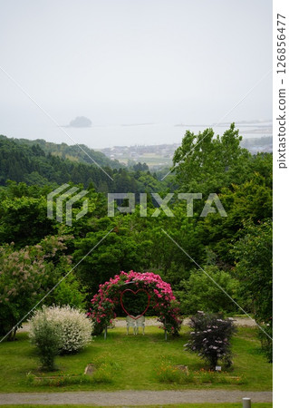 富山縣冰見市玫瑰園愛山花園 126856477