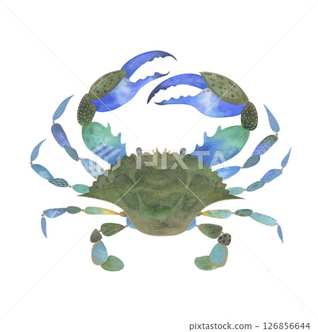 Blue crab watercolor illustration. Sea creature with interesting blue and green color transitions, detailed with pencil and gel pen textures. Isolated on white background 126856644