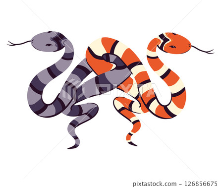Two snakes intertwined by tails. Vector illustration. Witch magic sign, totem animal, symbol of wisdom and knowledge. Ancient symbol of occultism, magic, infinity, mysticism. 126856675