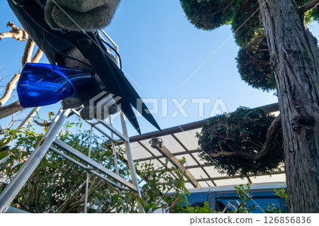 Pruning Hiba Pruning Hiba 126856836