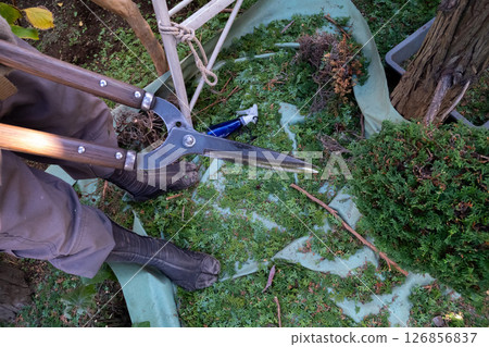 Gardener's protective sheet Gardener's protective sheet 126856837