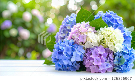 花園桌上的一束繡球花 126856967