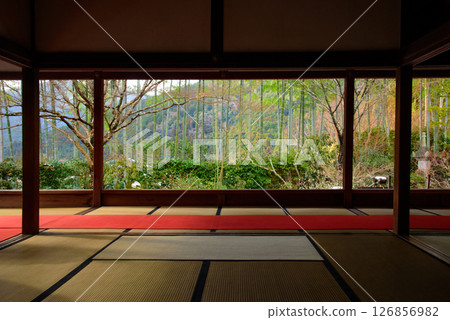 京都大原法仙院 京都大原法仙院 126856982