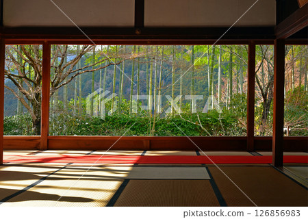 京都大原法仙院 126856983