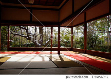 京都大原法仙院 126856987