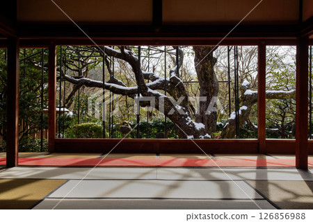 京都大原法仙院 京都大原法仙院 126856988
