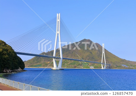 [Hiroshima Prefecture] Tatara Bridge as seen from Tatara Shimanami Park Roadside Station in spring 126857470