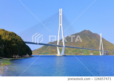 [Hiroshima Prefecture] Tatara Bridge as seen from Tatara Shimanami Park Roadside Station in spring 126857471