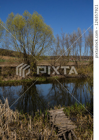 Reflections on a tranquil pond surrounded by lush trees during a sunny spring afternoon in a rural setting 126857921