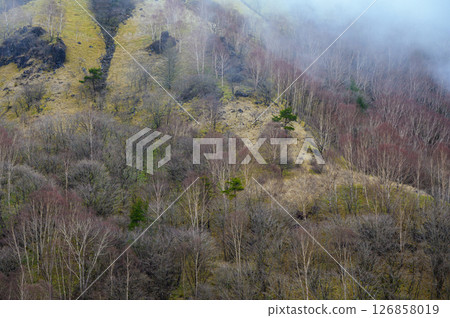 Foggy Venus Line [Nagano Prefecture] 126858019