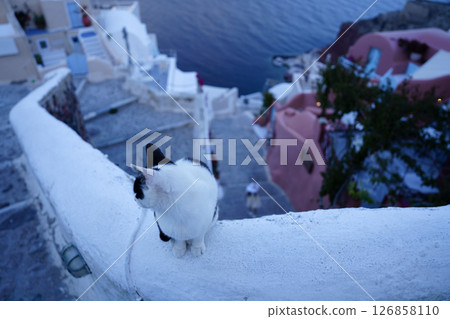 Beautiful landscape of Santorini 126858110