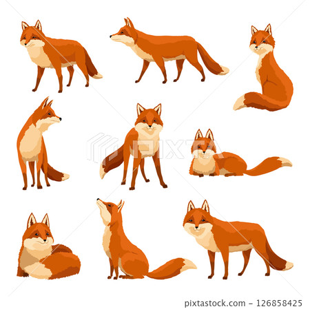 Red fox set. Funny character, forest mammal predator. Cartoon forest animal, mammal with cute emotions on faces. Orange fox, wildlife animal, isolated on white background Red fox set. Funny character, forest mammal predator. Cartoon forest animal, mammal with cute emotions on faces. Orange fox, wildlife animal, isolated on white background 126858425