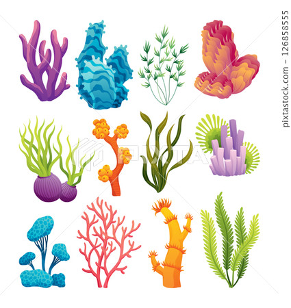 Set of watercolor seaweed and corals isolated on white background. Underwater algae. Aquarium plants collection. Vector marine life. Vector isolated corals and algae. Underwater flora Set of watercolor seaweed and corals isolated on white background. Underwater algae. Aquarium plants collection. Vector marine life. Vector isolated corals and algae. Underwater flora 126858555